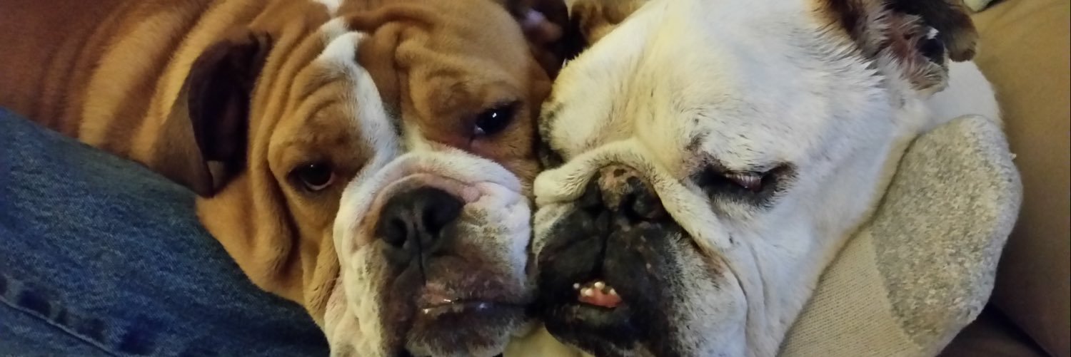 Charles W. “Bill” Robinson banner