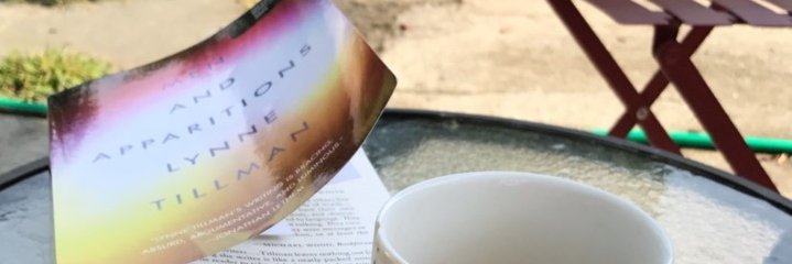 Lynne Tillman banner