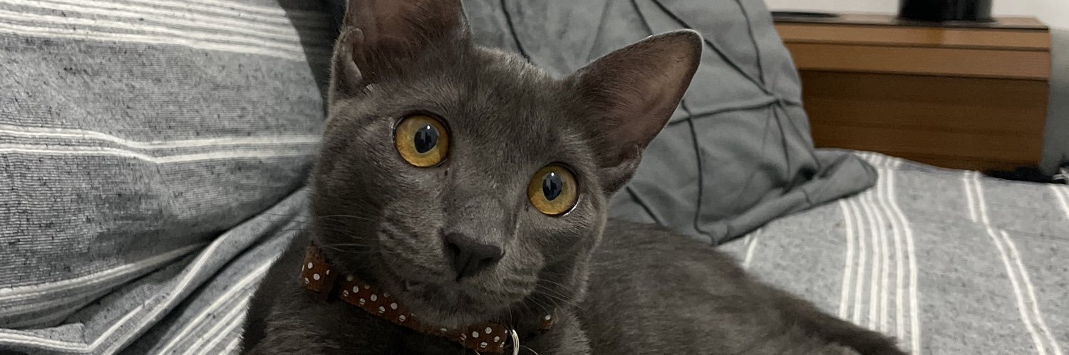 rayssabellotti_'s profile banner image