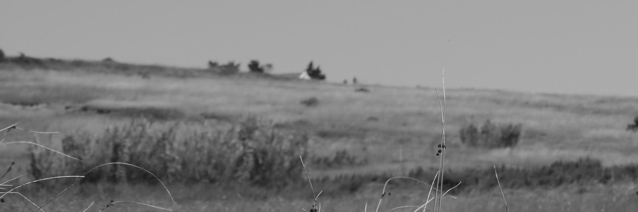 davidemognaschi's profile banner image