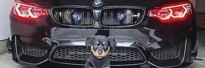 frostocffm's profile banner image