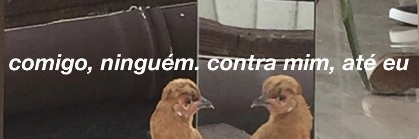 nathaciia's profile banner image