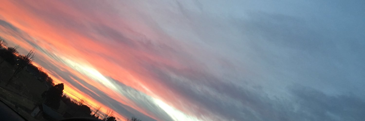 zaira leanos banner
