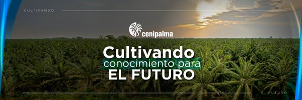 CenipalmaOrg Profile Banner