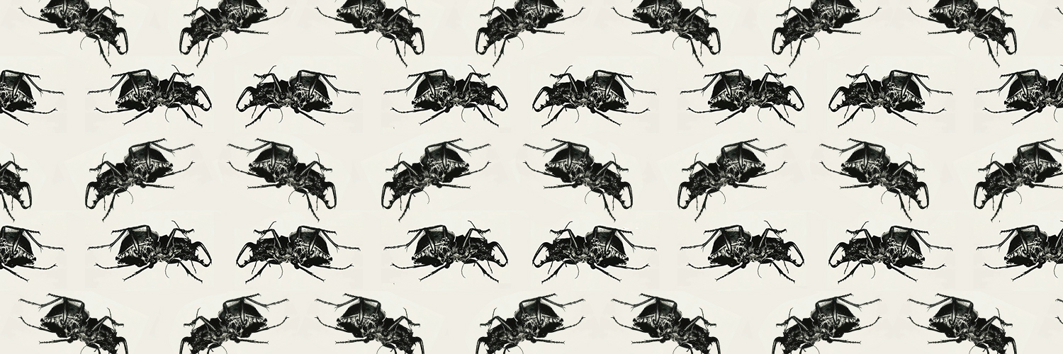 Father excess banner