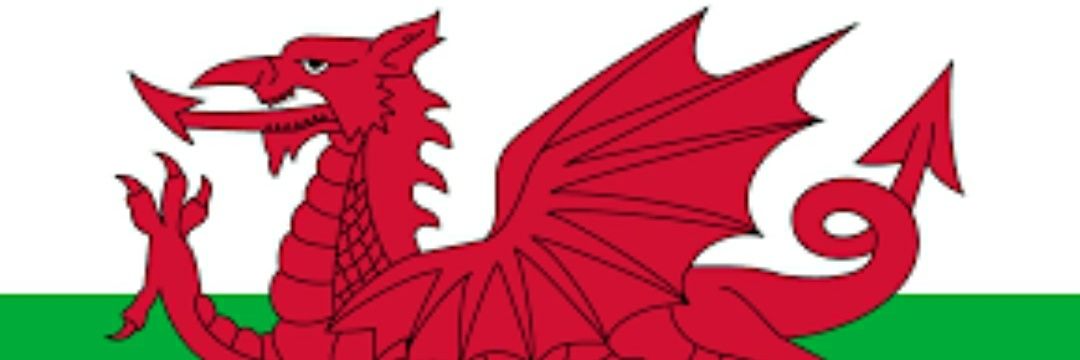 Harry Corish 🏴󠁧󠁢󠁷󠁬󠁳󠁿 banner