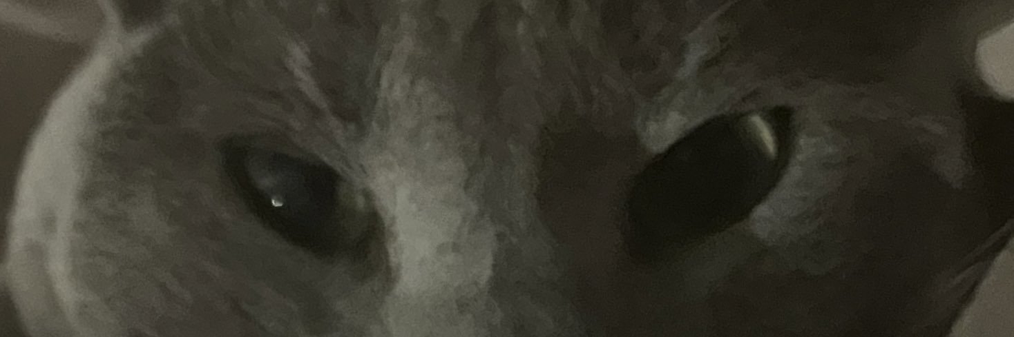 maarehut's profile banner image