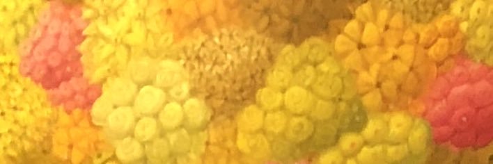 marimooooooooon's profile banner image