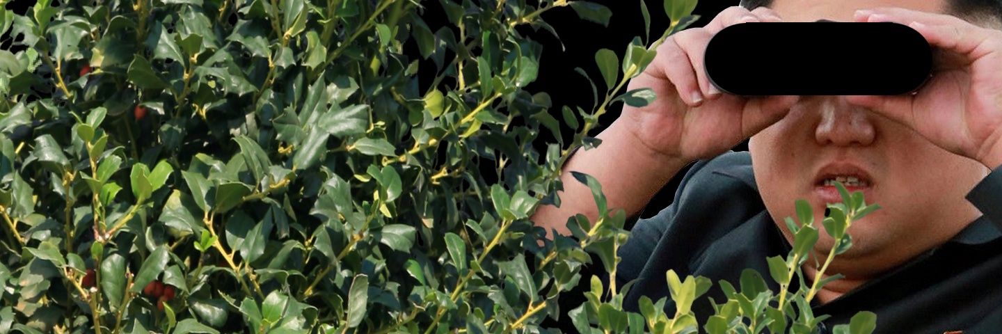 RayvkAus's profile banner image