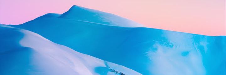 thefoxycrypto's profile banner image