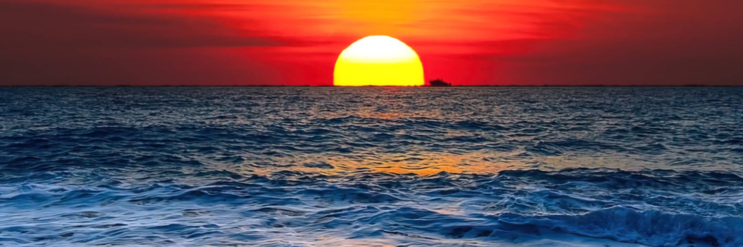 Telios 🍊💊´d banner