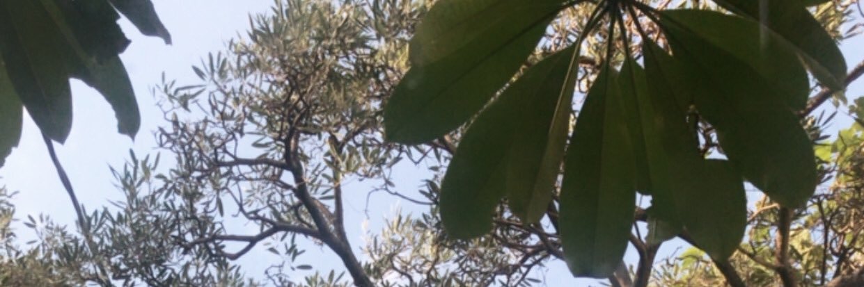 ⋀∩. banner