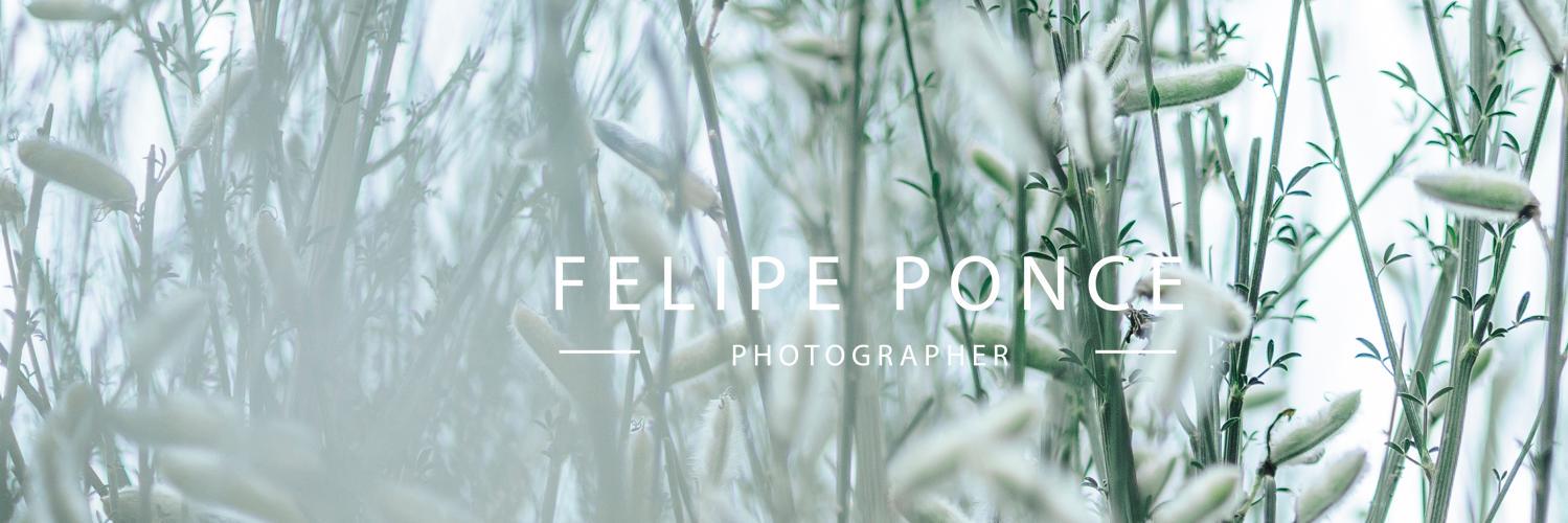 felipeponceph's profile banner image