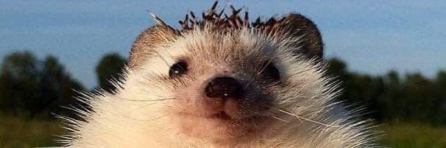 KevinClgClr's profile banner image