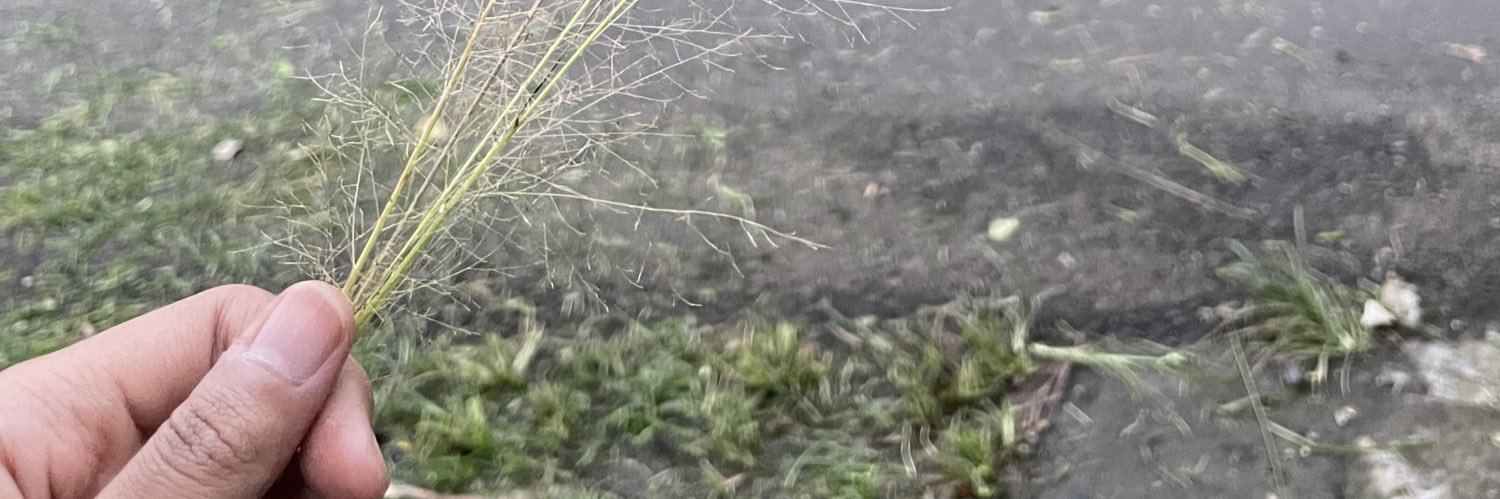 ayuk_31's profile banner image
