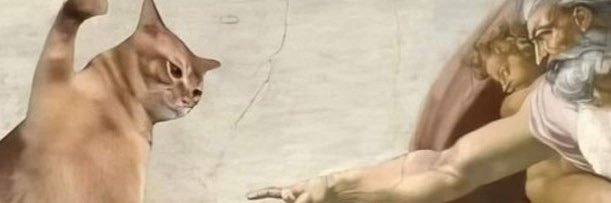 juditerr's profile banner image