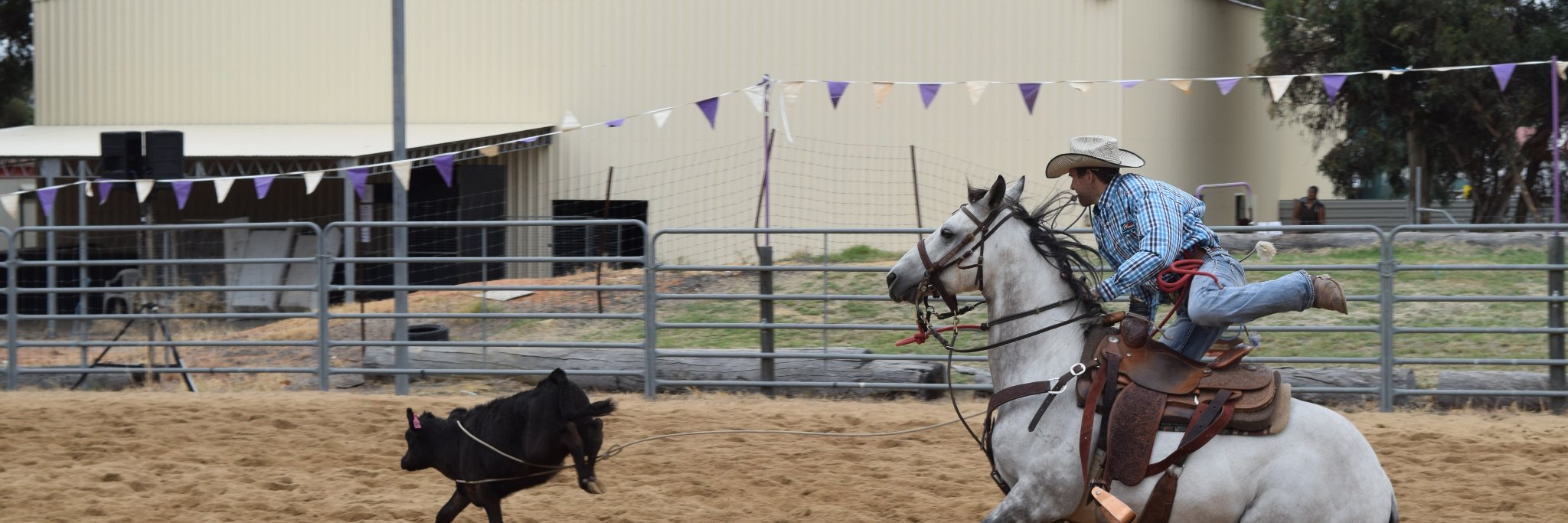 Wagin Woolorama banner