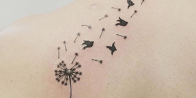 MichelleFarias1's profile banner image