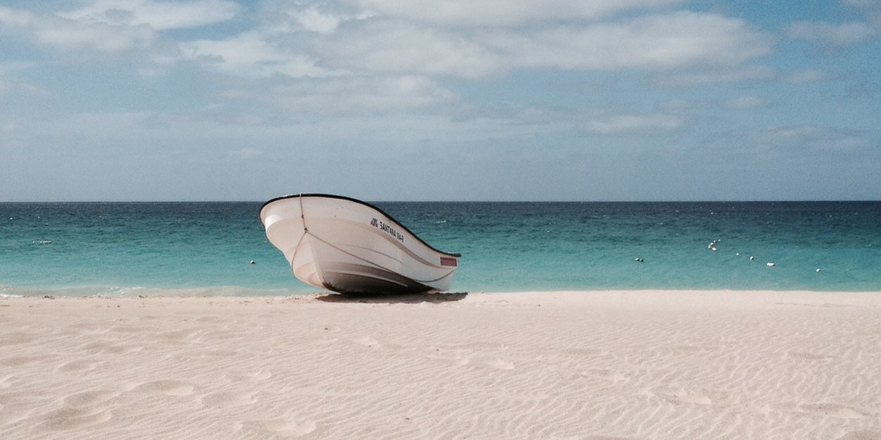 Clémentine Fréchinos banner