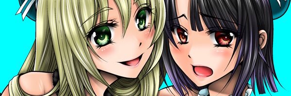 nikudanmaru's profile banner image