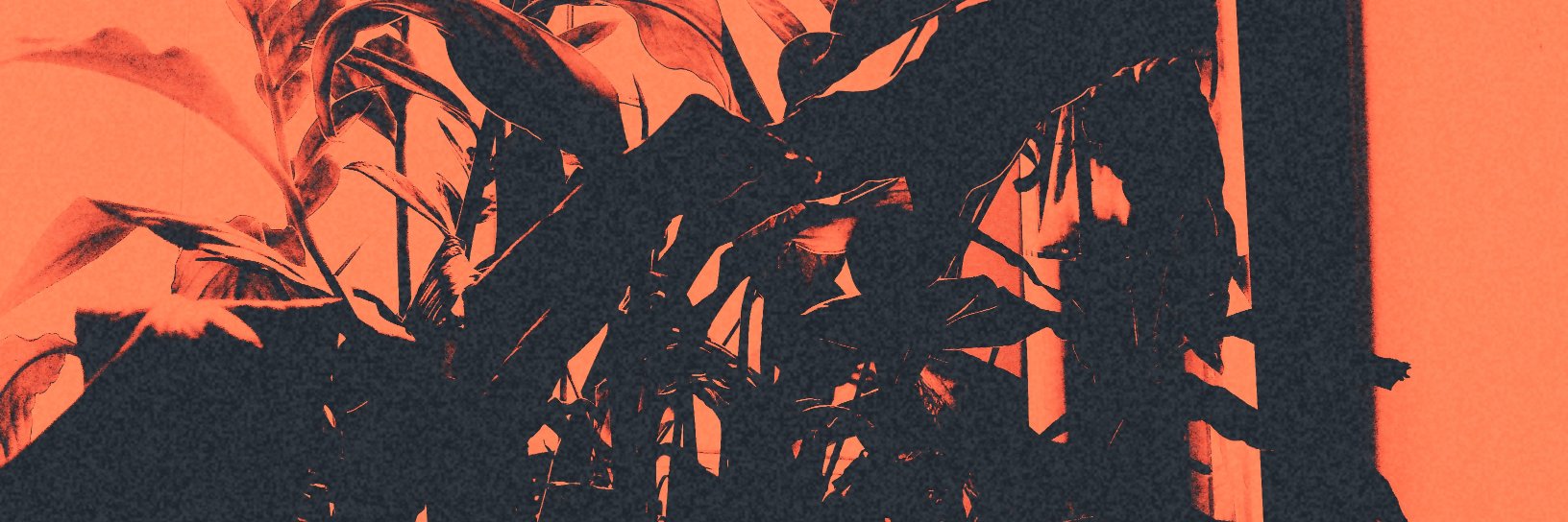 Violetta Postnova banner