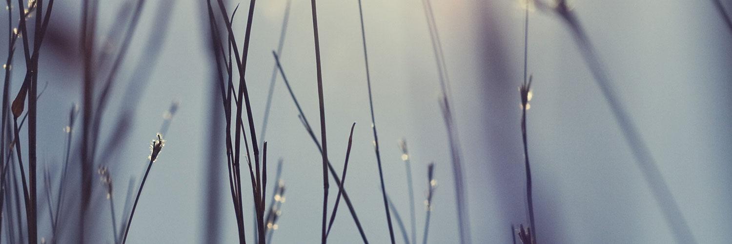 LaurenceAL1's profile banner image