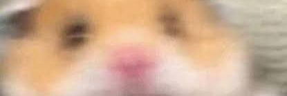 diogeebase's profile banner image