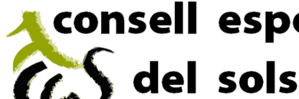 CEspSolsones Profile Banner