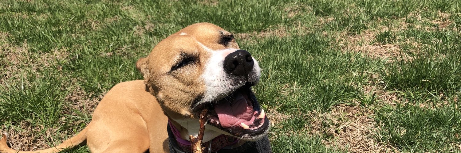 daniiielledeeee's profile banner image