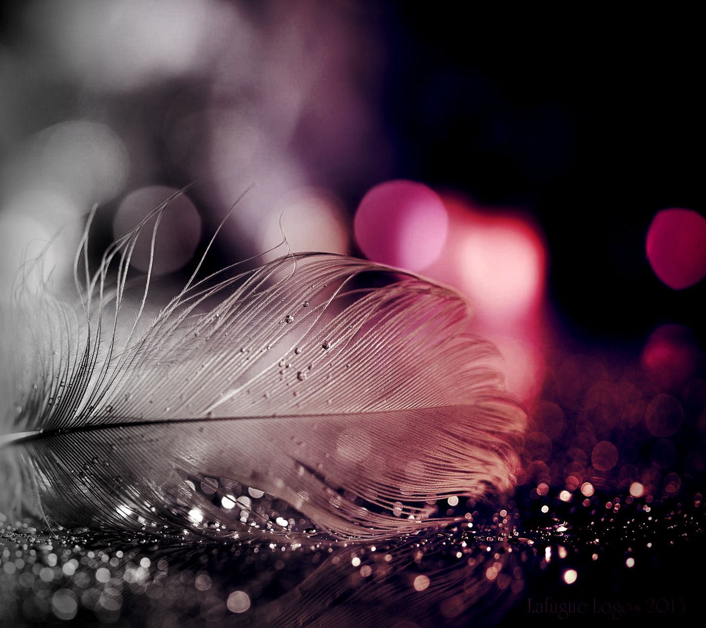 Luived's profile banner image