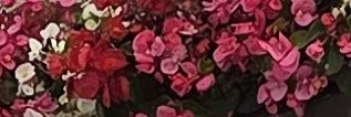 Rei____0____ieR's profile banner image