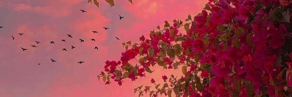 fly_rodd Profile Banner