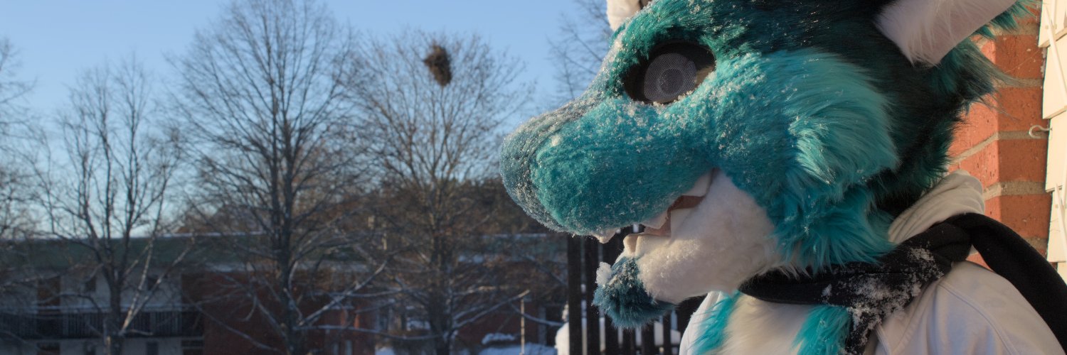 Flao banner