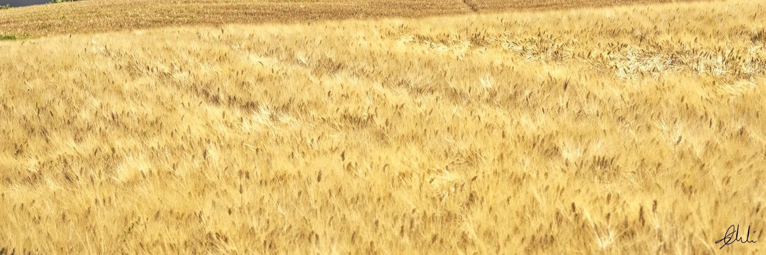 chergiovi's profile banner image