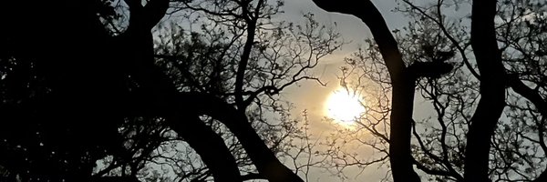 kenjudy Profile Banner