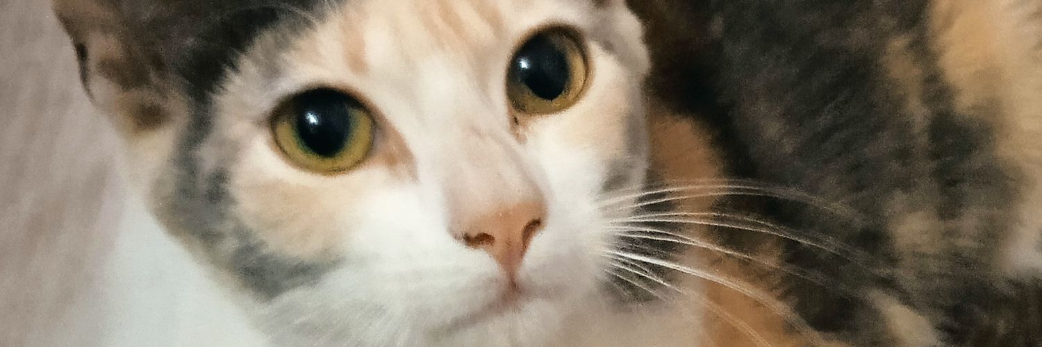 ForlornCalaca's profile banner image
