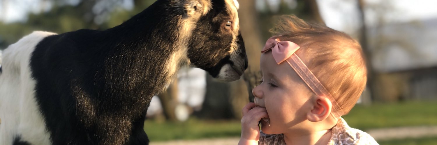 BroLeeAnne's profile banner image