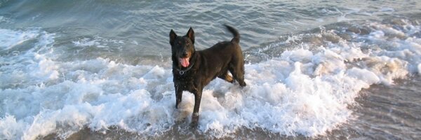 xphere Profile Banner