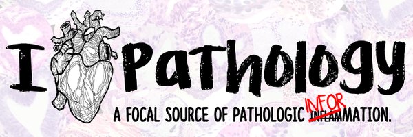 HeartPathology Profile Banner