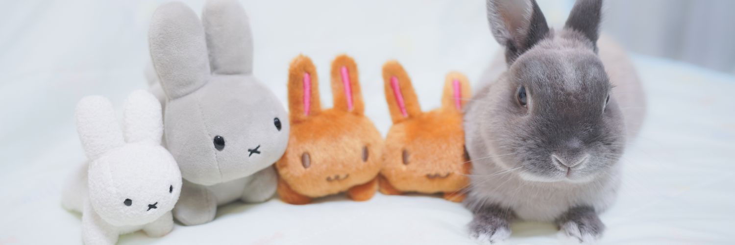 quemo5124's profile banner image