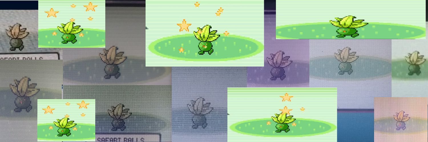 MuzzyCerdo ~ 🇪🇸 banner