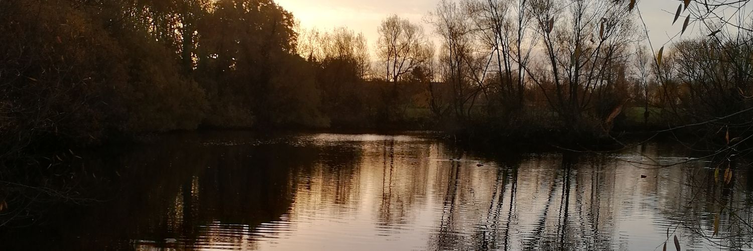 ECaudwell's profile banner image