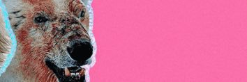 PincheRolas's profile banner image