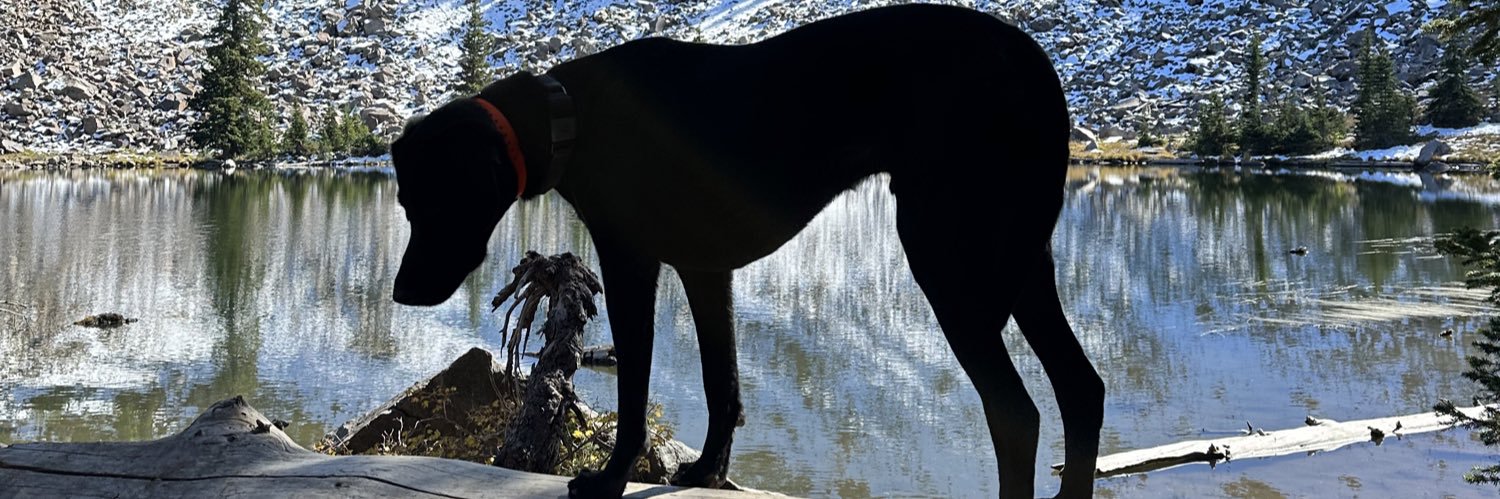 jerbakk's profile banner image
