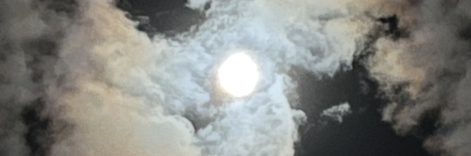 Anish banner