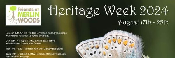 FriendsMerlinWD Profile Banner