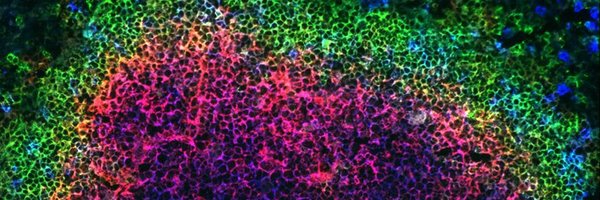 YaleIBIO Profile Banner
