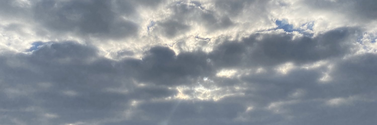 trlagc's profile banner image