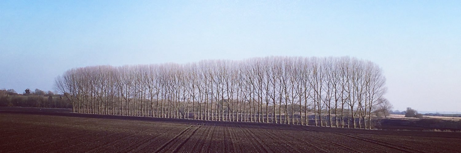 Kate-Patterson banner