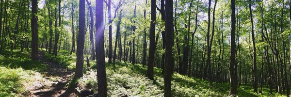 magthenomad Profile Banner